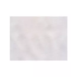 Set de table Blanc Spunbond 30x40cm